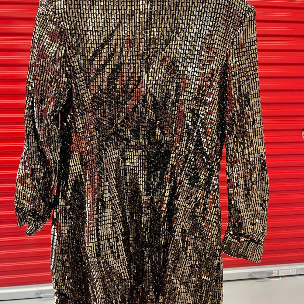 Zara Metallic Sequin Blazer - Picture 3 of 4